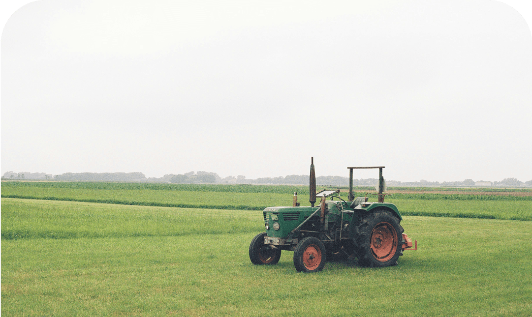 Why Everyone Should Participate in Farming and Agriculture